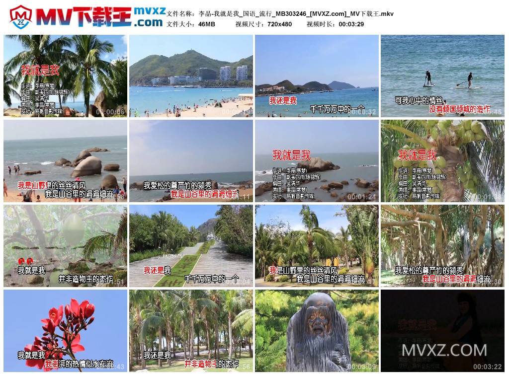 李晶-我就是我_国语_流行_MB303246